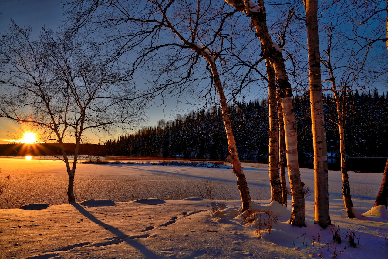 winter landscape at golden hour
